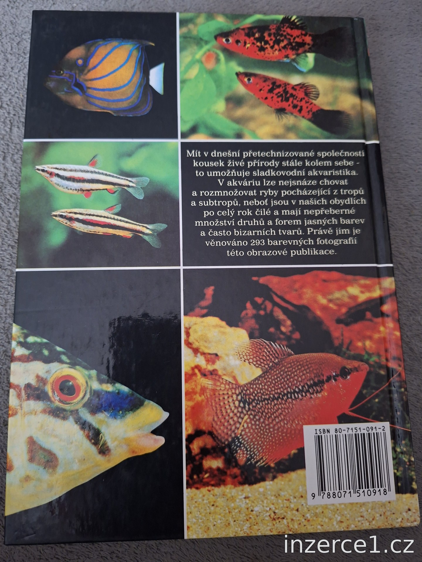 Kniha o akvaristice – fotografie 2